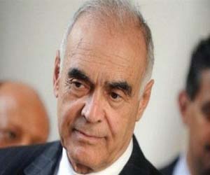 مصر اليوم - مصر تؤكد رغبتها في استقرار لبنان و هدوء سورية