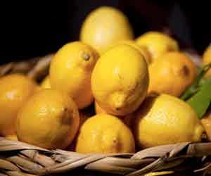 مصر اليوم - الليمون يحارب السمنة