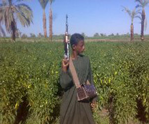 مصر اليوم - الأقصر: تأجيل محاكمة الحمبولي ونجله إلى الثلاثاء