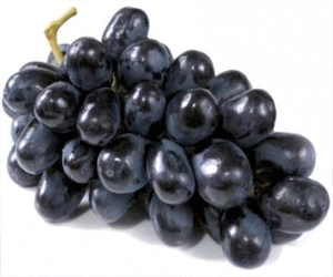 مصر اليوم - العنب الأسود ينظم الدورة الدموية ومهدئ للأعصاب