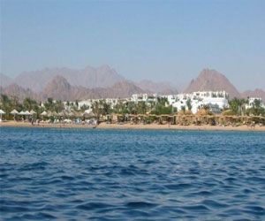   مصر اليوم - الغردقة تستضيف المهرجان الثقافي الإيطالي