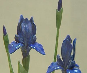   مصر اليوم - افتتاح معرض للزهور المنحوتة من الأحجار في موسكو