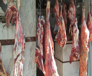 مصر اليوم - قنا: ضبط 1500 كيلوجرام من اللحوم مذبوحة خارج المجازر الحكومية