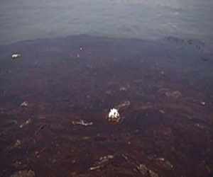 مصر اليوم - بقعة الزيت في طريقها إلى دمنهور