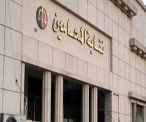 مصر اليوم - بدء فعاليات مؤتمر سيناء تستغيث في نقابة المحامين