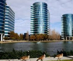   مصر اليوم - مؤسسة حمد الطبية في الدوحة تفوز بجائزة أوراكل