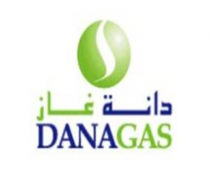 مصر اليوم - دائنو دانة غاز يسعون للسيطرة على أصول الشركة في مصر