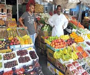   مصر اليوم - ارتفاع أسعار الخضروات رغم توافر المعروض بكثافة