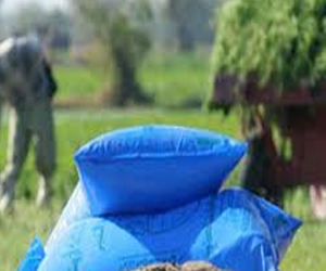   مصر اليوم - ارتفاع أسعار الأسمدة مع اقتراب موسم التسميد الشتوي