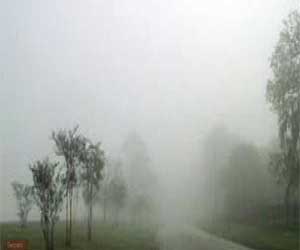   مصر اليوم - موجة برد قوية تجتاح الصين