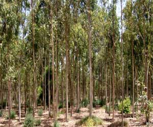   مصر اليوم - مصري بافاري لتحويل الصحراء المصرية إلى جنة خضراء