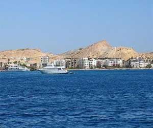   مصر اليوم - المركز اليمني لرصد ودراسة الزلازل ينفي ظهور جبل جديد في مياه البحر الأحمر
