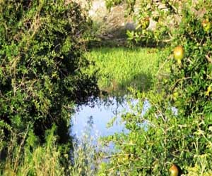 مصر اليوم - إغلاق متنزة شهير في عقبة ضلع في عسير