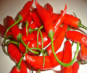 مصر اليوم - الفلفل الأحمر وفوائده العديدة على الصحة العامة