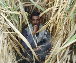 مصر اليوم - مقتل الذراع الأيمن لخط الصعيد الحمبولي برصاص الأمن