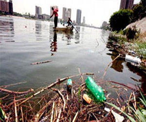   مصر اليوم - البيئة تقرر مقاضاة شركة سكر أرمنت لإلقاء مخلفات في نهر النيل