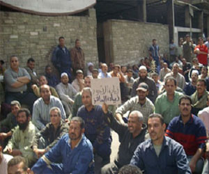   مصر اليوم - اعتصام العاملين في مصانع السكر في الصعيد احتجاجًا على خفض المكافآت