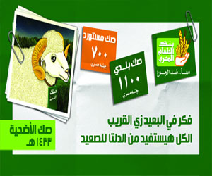   مصر اليوم - بنك الطعام يحصل على صكوك أضاحي بقيمة 108 مليون جنيه خلال العيد