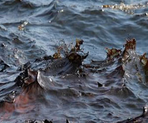   مصر اليوم - البيئة تشارك في إزالة بقعة الزيت وانتقادات لتراخي محافظ الأقصر