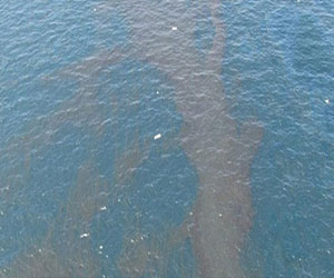 مصر اليوم - وزير البيئة يؤكد أمان مياه الشرب بعد زوال بقعة الزيت