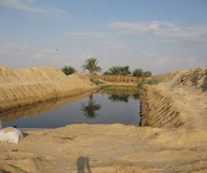   مصر اليوم - الاستثمارات الزراعية في وادي النطرون تبلغ نصف مليار جنيه خلال شهرين