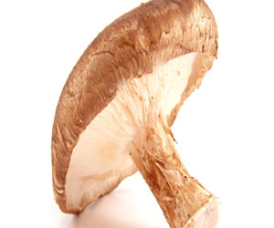   مصر اليوم - الفطر يحدّ من الإصابة بالورم الوعائي