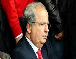   مصر اليوم - ترشحت للرئاسة لمواجهة الإقصاْء