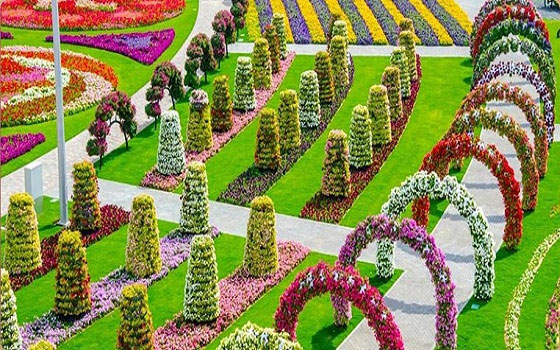 مصر اليوم - مهرجان الإمارات الأخضر يعزز مكانة الدولة في مجال تحقيق التنمية المستدامة