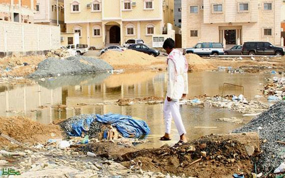 مصر اليوم - خبراء الصحّة في الجزائر يدرسون وسائل استئصال داء الملاريا