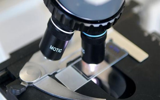 مصر اليوم - علماء استراليون توصَّلوا الى عَقار لمعالجة مرضى سرطان الدَّم