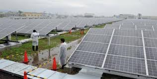   مصر اليوم - شركات يابانية: الطاقة المتجددة أفضل بديل للطاقة النووية