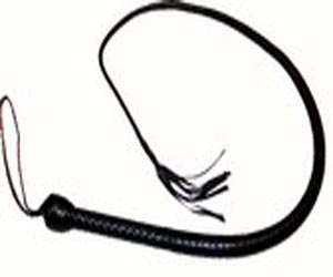   مصر اليوم - 20 جلدة لوافد لمس مؤخرة امرأة سعودية