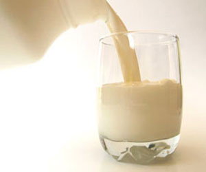 مصر اليوم - حليب الأبقار يحمي من الإيدز