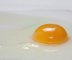 مصر اليوم - نظام يسهل التصنيف الصحي للأغذية المعبأة