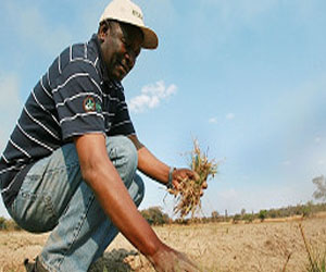   مصر اليوم - البنك الدولي: حواجز حركة التجارة في إفريقيا تؤثر سلبًا على إنتاج الغذاء
