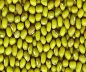 مصر اليوم - فول المونج الصيني يحمي من تعفن الدم