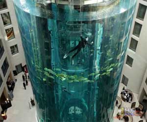   مصر اليوم - مصعد كهربائي داخل حوض أسماك في فندق ألماني
