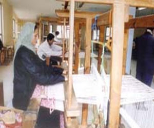   مصر اليوم - نقل بعض المصانع خارج الكتلة السكنية بدءًا بالصعيد