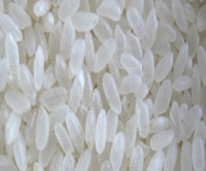   مصر اليوم - زيت نخالة الأرز قادر على خفض الكولسترول