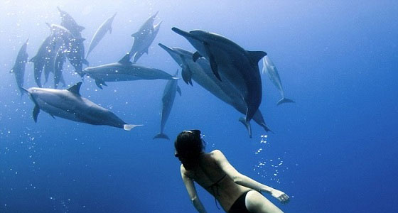   مصر اليوم - مصر الـ8 عالميًا في الإنتاج  السمكي