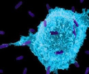 مصر اليوم - دراسة: قوّة الإحساس بالطعم المر ترتبط بقوة جهاز المناعة